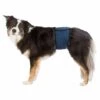 TRIXIE Couches Pour Chiens Mâles, Maille Respirable, S: 29-37 Cm, Bleu Foncé